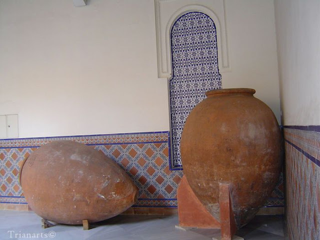Imagen31.jpg