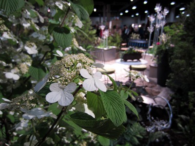 2012 Boston Flower & Garden Show 012