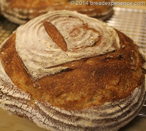 Kamut and Rye Levain on the spot