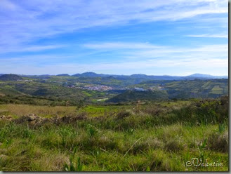 P1070975 P1070975