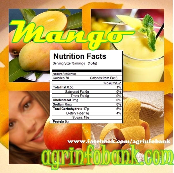 [Mango%2520nutrition%2520facts%2520How%2520a%2520mango%2520is%2520nutritious%25203%255B9%255D.jpg]