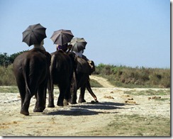 chitwan chitwan