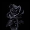 Brooke Channell Avatar