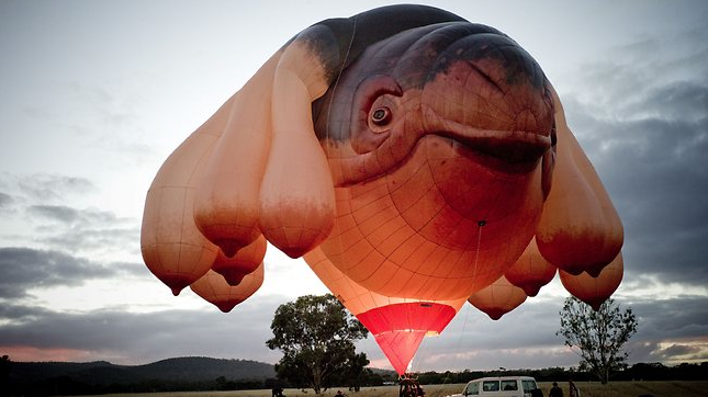 canberra-skywhale