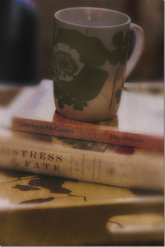 cup-and-books-pdpa-textures