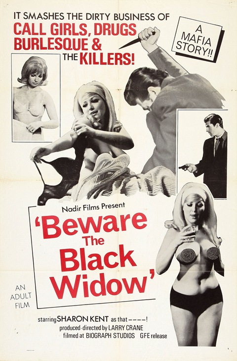 Beware Black Widow 01