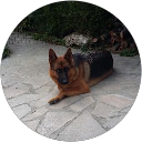 Image Google de Chantal Lotode