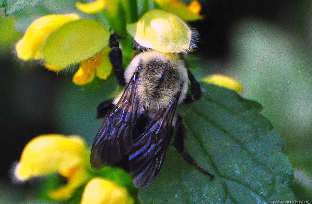 [DSC_0066%255B4%255D.jpg]