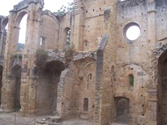 2008.09.05-043 vestiges de l'abbaye d'Alet