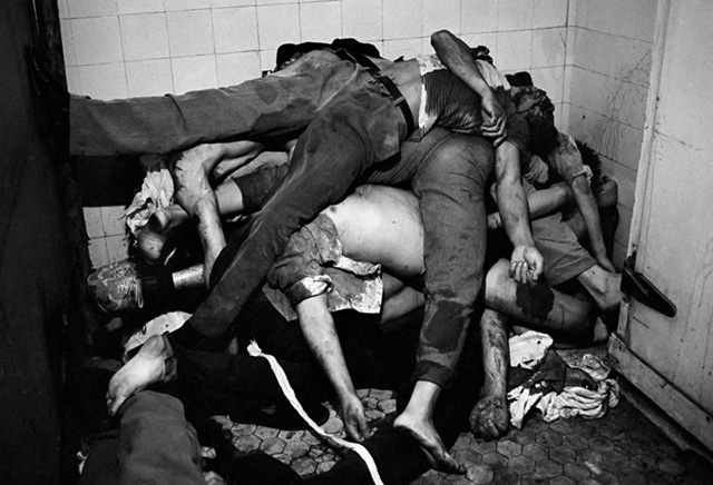 [clip_image004%255B2%255D.jpg]