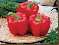 vegetable_red_bell_pepper_plants