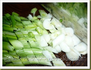 Vermicelli di riso saltati con maiale, verdure, zenzero e peperoncino verde piccante (4)