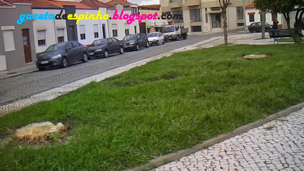 [Snapshot%2520-%25202%255B4%255D.jpg]