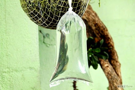 home remedies for flies_3