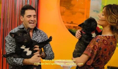 Moro y Bombón se conocen.JPG