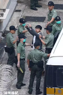 Trâu bò húc nhau ruồi muỗi chết Trâu bò húc nhau ruồi muỗi chết