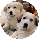 Timothy & Pamela Russell profile picture