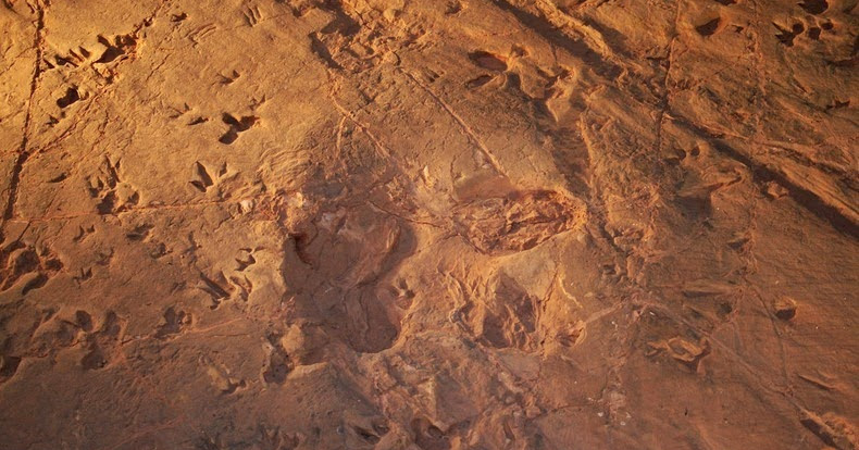 Lark Quarry Dinosaur Stampede | Amusing Planet