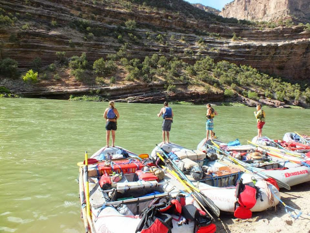 dinosaur green and yampa river
