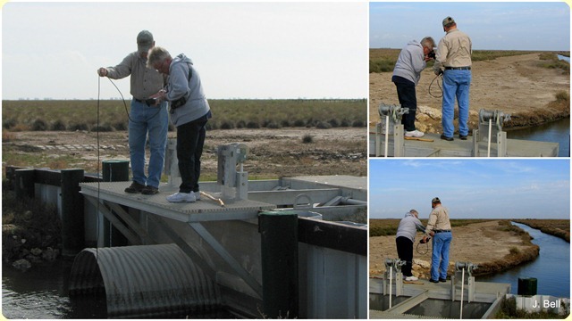 64 Anahuac NWR 201112