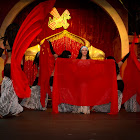 IMG_8643.JPG