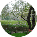 Pam Bellis profile picture