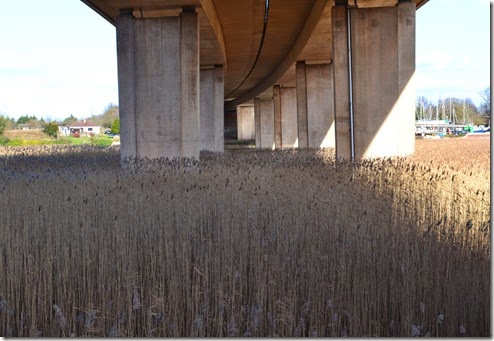 M5 across the reedbeds
