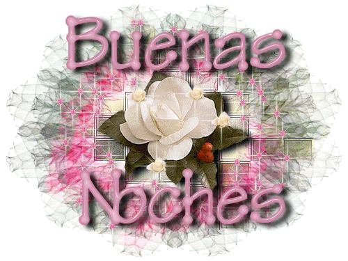 BUENAS NOCHES (24)