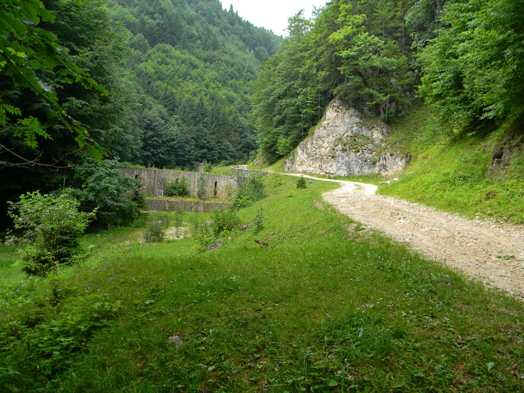 [DSCN29703.jpg]
