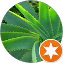 Image Google de Mart Aloe