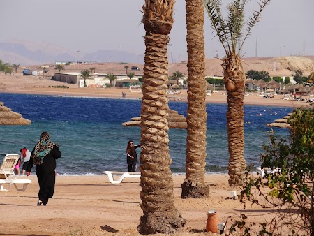 18. Plaja Aqaba.JPG