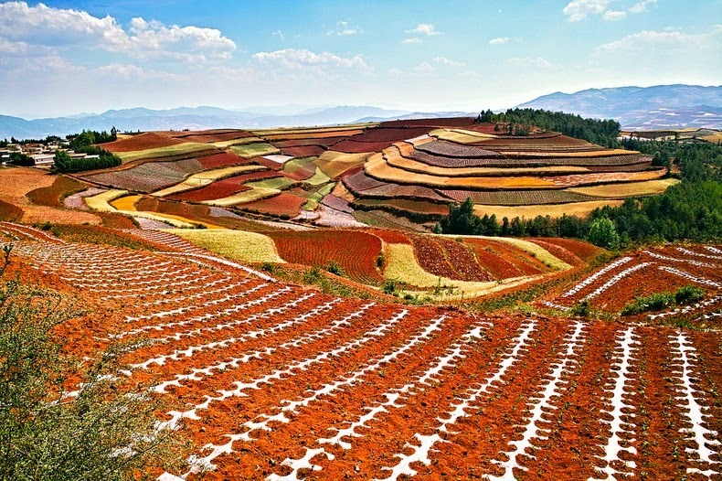 dongchuan-red-soil-10