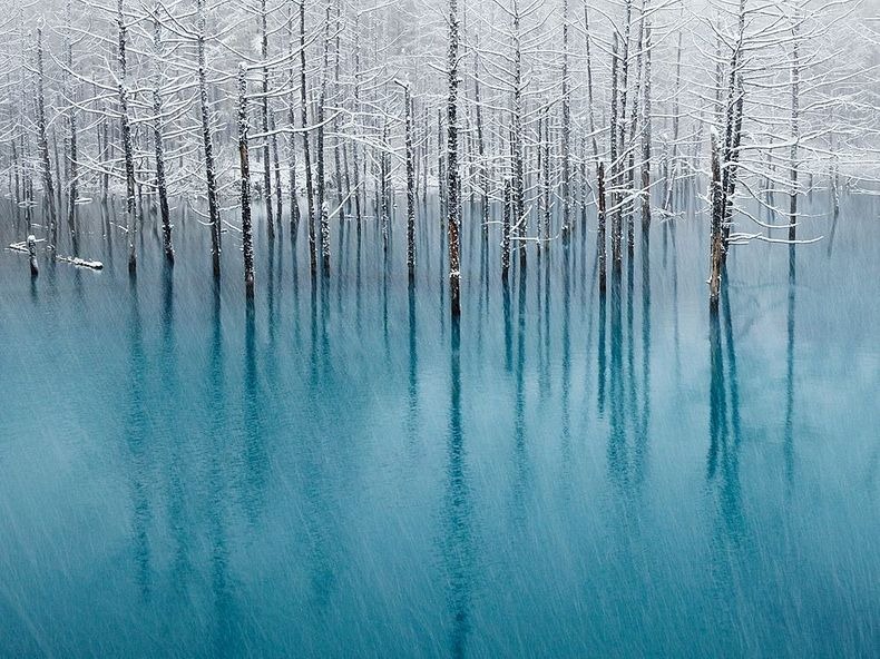 Risultati immagini per Blue Pond.