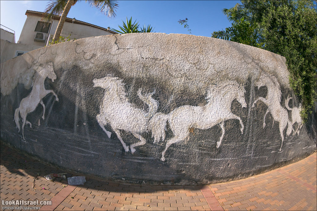 Проект блога LookAtIsrael.com о городах Израиля. Эйлат