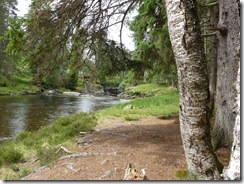 river dee near the linn2