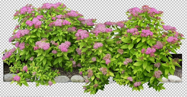 Flower photoshop files