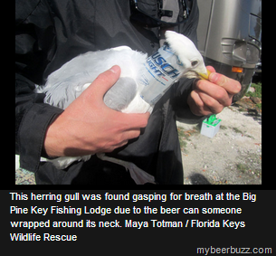 [image%255B3%255D.png]