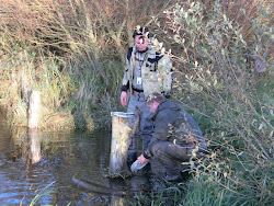 Skjern Au _ Oktober 2012 - 087