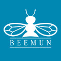 Icon Beemun