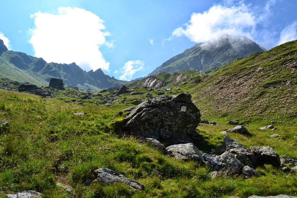 [DSC_14693.jpg]