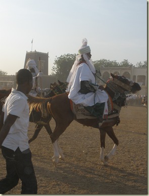 arabian horse!(1) arabian horse!(1)