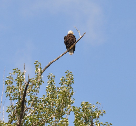 [DSC_0066%255B4%255D.jpg]