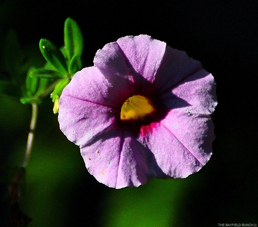 [DSC_0002%255B4%255D.jpg]