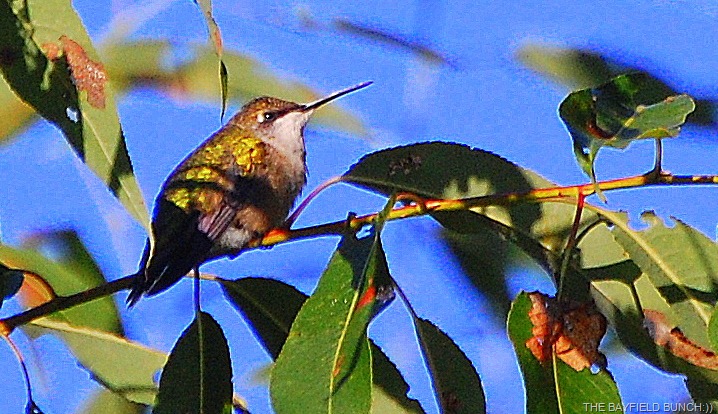 [DSC_3528%255B4%255D.jpg]