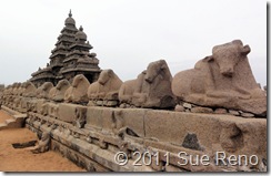 SueReno_Mahabalipuram 5