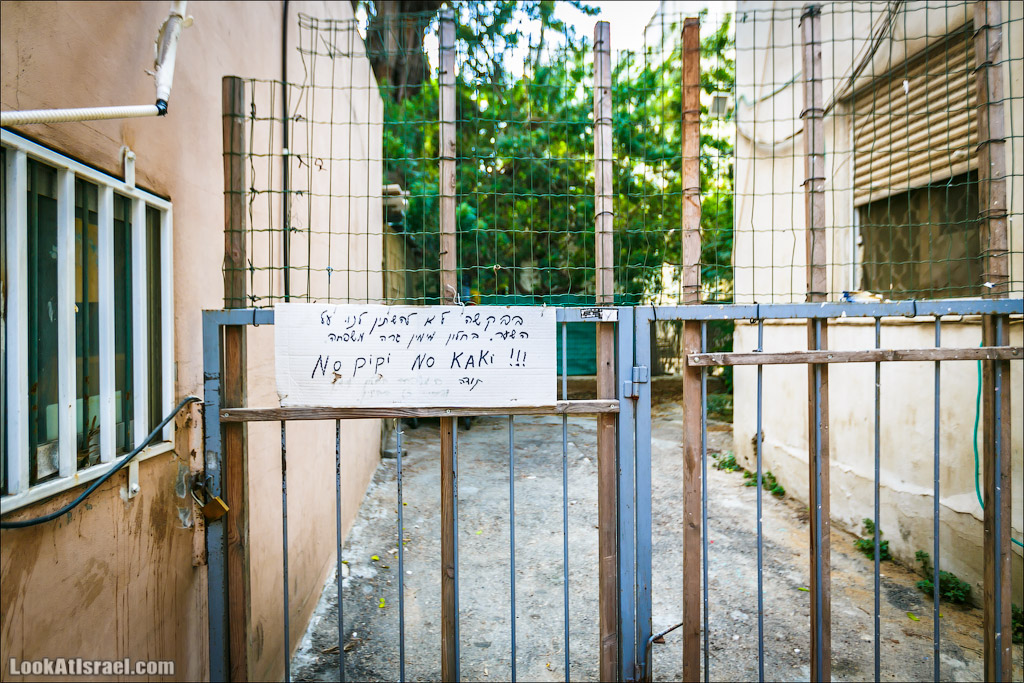 LookAtIsrael.com - Фото путешествия по Израилю | Граффити Тель Авива - стены говорят | Tel Aviv street art