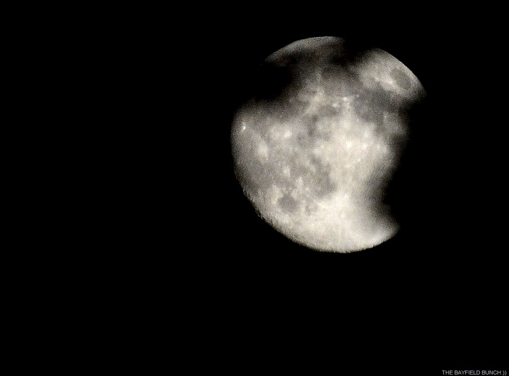 [DSC_0001%255B4%255D.jpg]