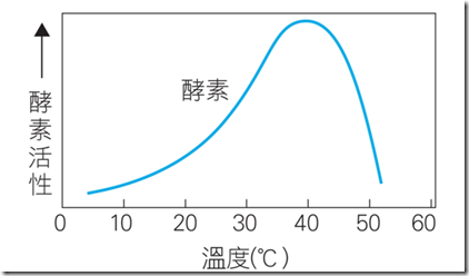 dailybiojuan-junior-biology-chap3-visual-7