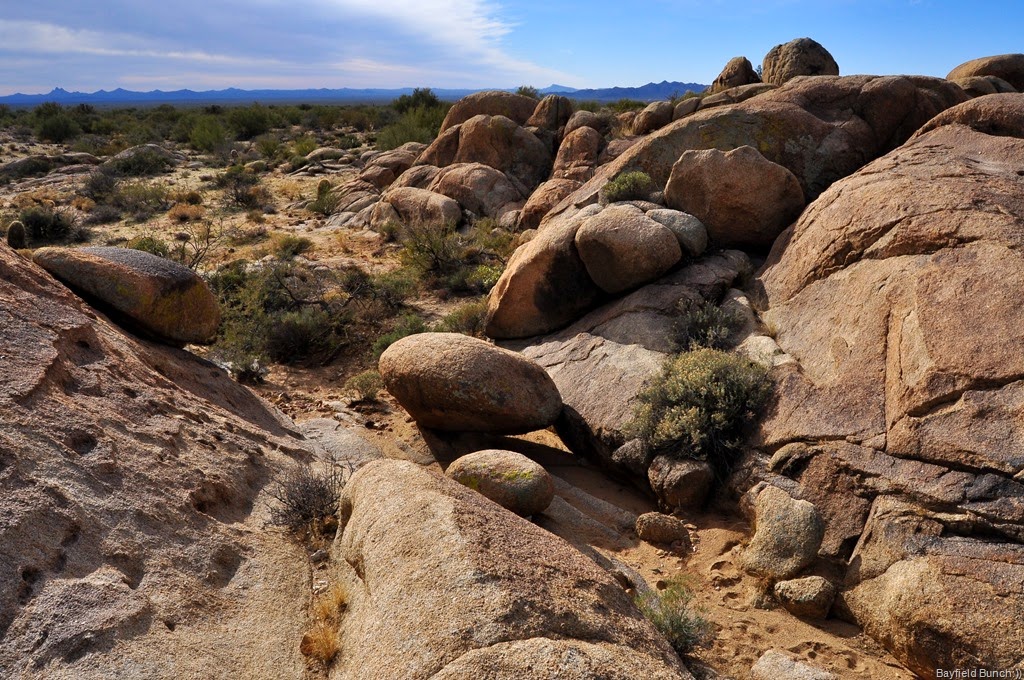 [DSC_0055-001%255B6%255D.jpg]