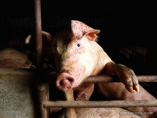 [scr0045%255B2%255D.jpg]